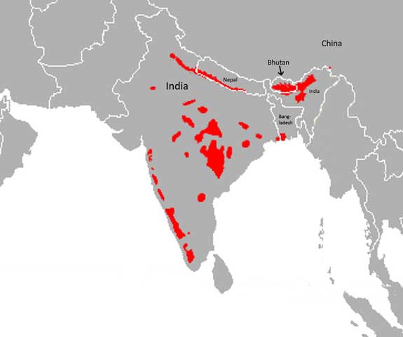 bengal tiger's distribution map