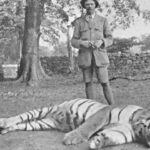 jim corbett killed Champawat Tiger.
