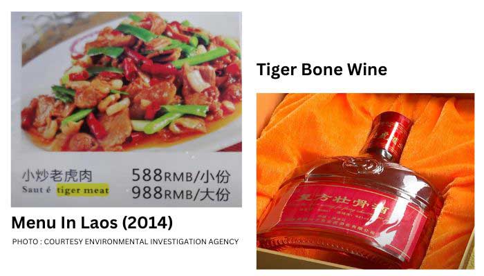 tiger bone wine