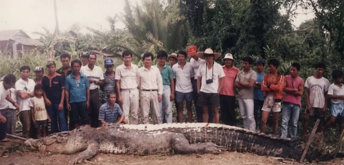 One of the largest crocodiles ever recorded, Bujang Senang was killed on May 20, 1992. He was 19 feet 3 inches long (5.88 meters).
