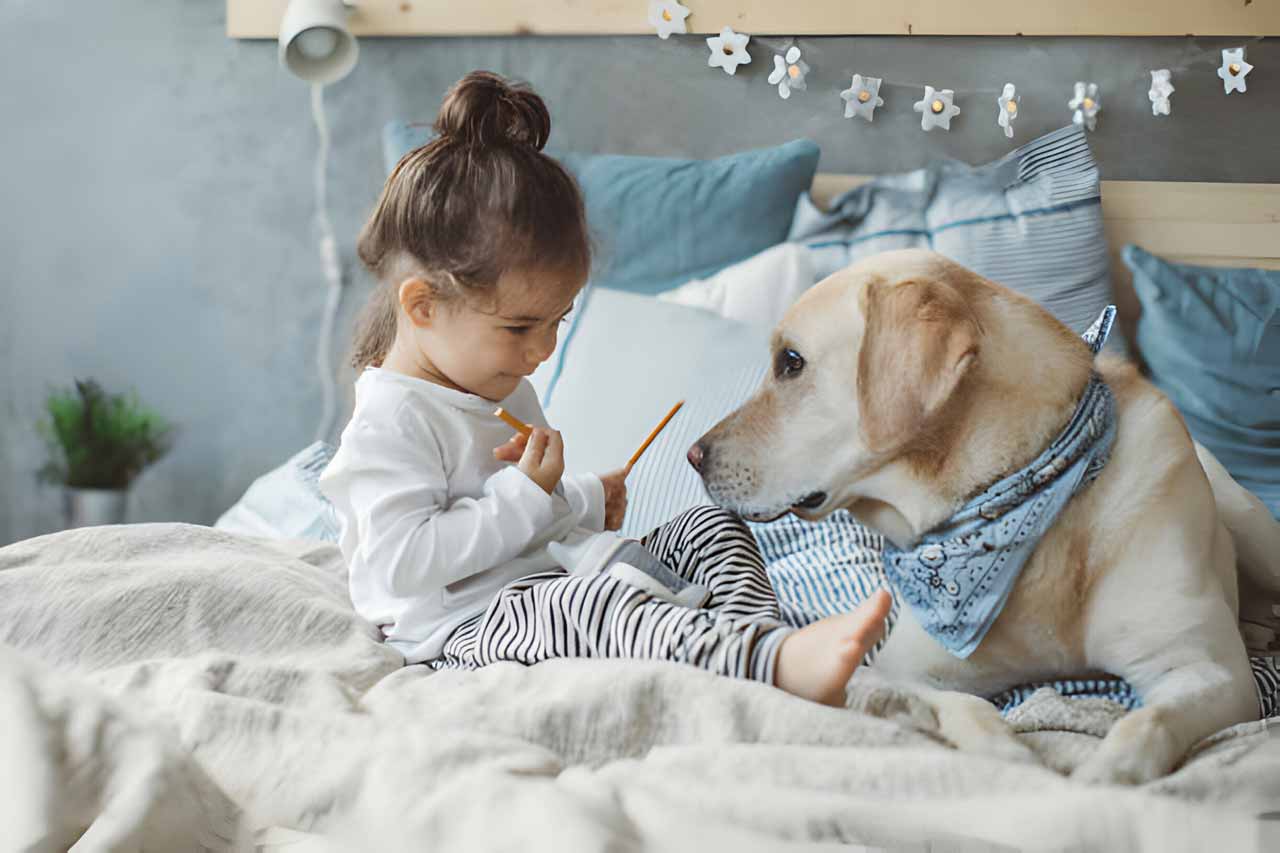 Dog and boy resting on bed
